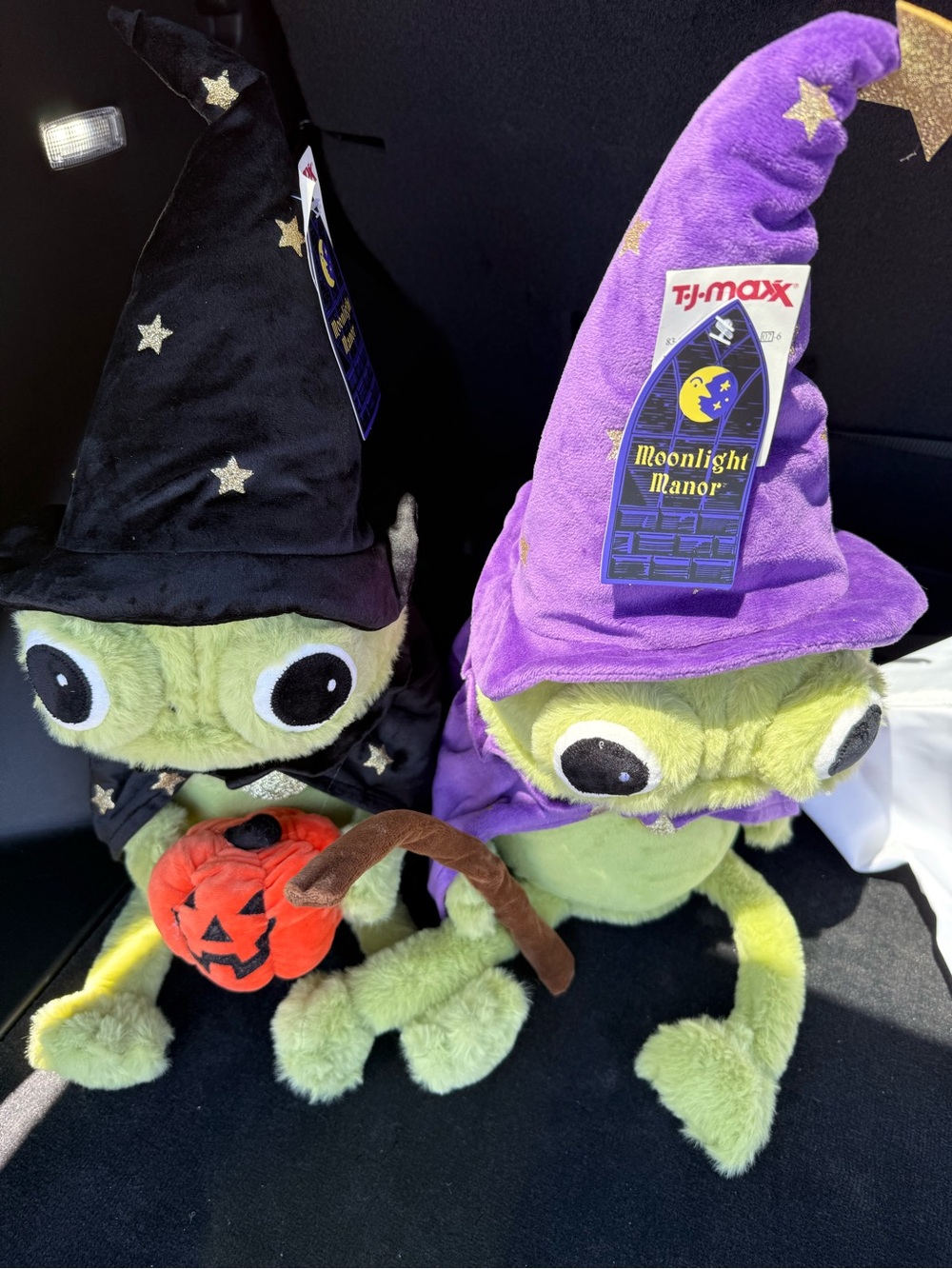 Set of Moonlight Manor Wizard frogs Halloween plush new with tags